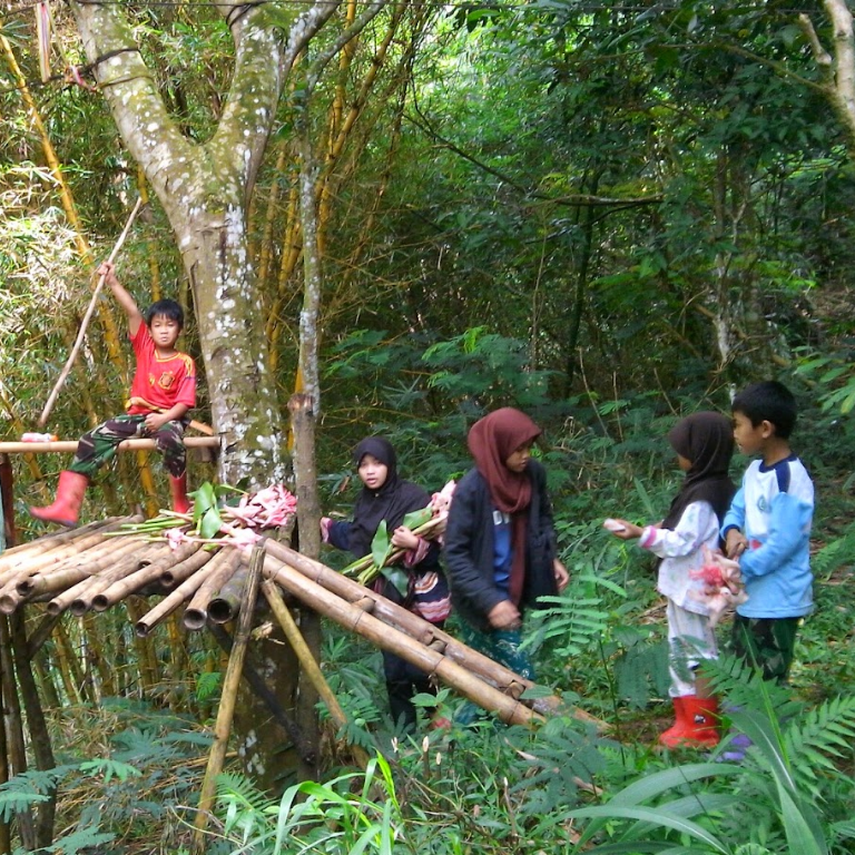 Desain tanpa judul (14)