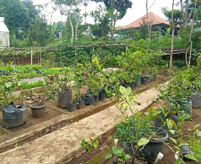 Desain tanpa judul (17)
